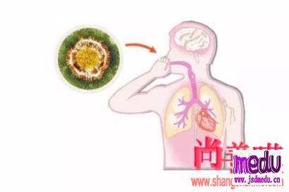 新型冠状病毒感染肺炎1天新增17例，春节出行如何预防？