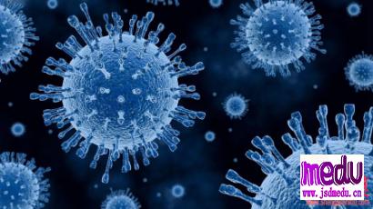 新型冠状病毒是否已经突变？