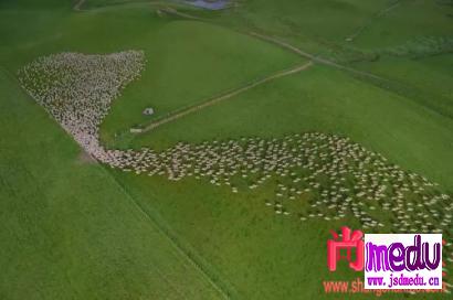 蒙古国哈勒特马·巴特图勒嘎捐3万只羊2万口罩，这位“安达”吊打台湾白眼狼
