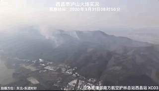 四川西昌森林火灾致19名扑火队员牺牲